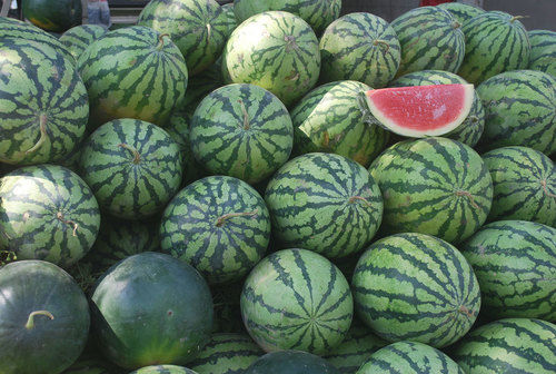 Natural Farm Fresh Watermelon