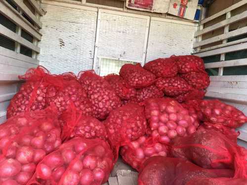 Long Life 10 KG Onion Bag