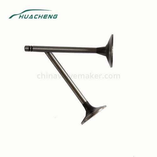 Machinery Parts Intake Valve for Caterpillar 3306