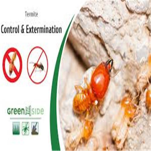 Termite Control Service By VIDIT PEST CONTROL