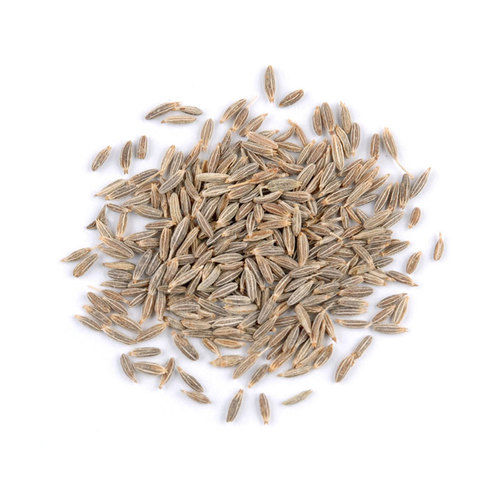 Organic Dried Cumin Seed Grade: Food