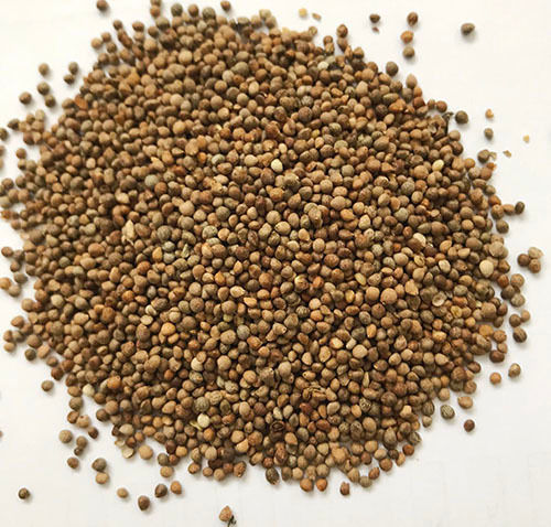 Pure Roasted Perilla Seeds Admixture (%): 0%