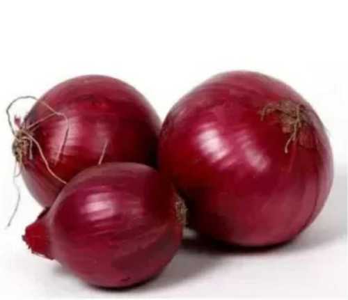 Fresh Natural Red Onion