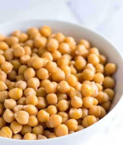 Yellow Natural Dried And Cleaned Chickpeas