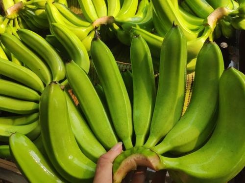 Fresh Green Cavendish Banana