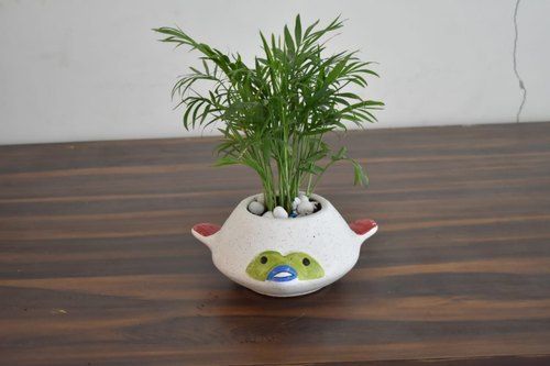 White Bamboo Palm With Designer Ceramic Pot