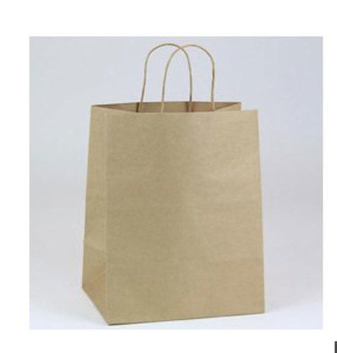 Plain Paper Shopping Bag