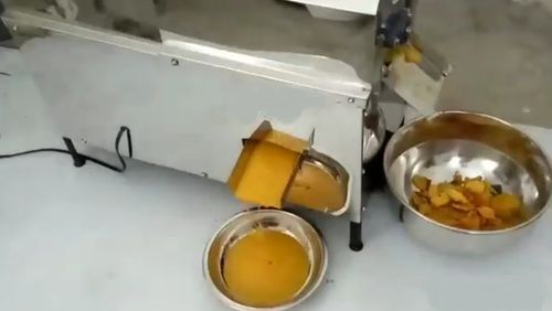Semi Automatic Mango Pulp Machine