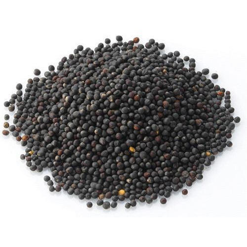 Black Color Mustard Seeds