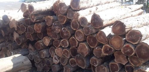 Solid Teak Wood Log