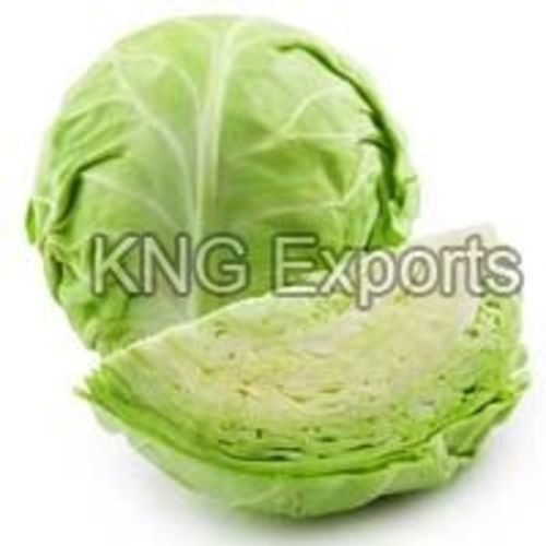 Floury Texture Fresh Cabbage