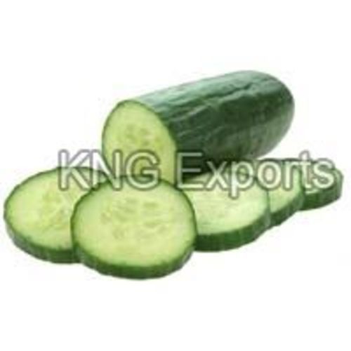 Fresh And Pure Green Cucumber
