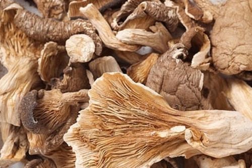 Natural Dry Oyster Mushroom Powder