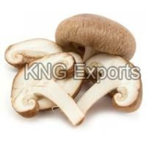 White No Preservatives Fresh Mushroom