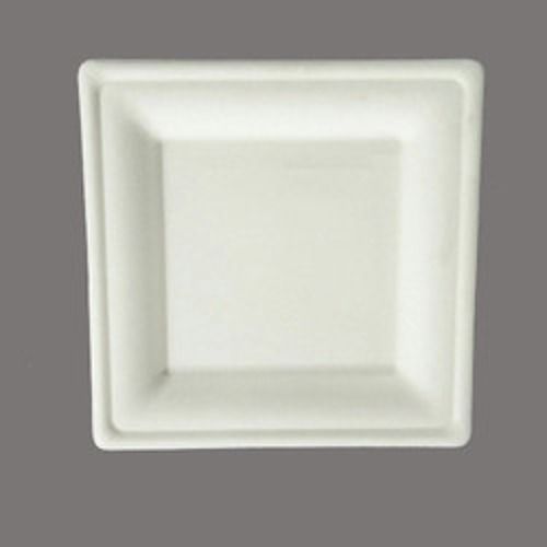 White Square Disposable Plate