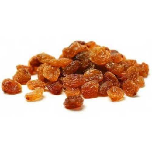 Oval A Grade Brown Dry Grapes at Best Price in Coimbatore | Quality Dry ...