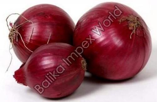 Fresh Big Size Red Onion