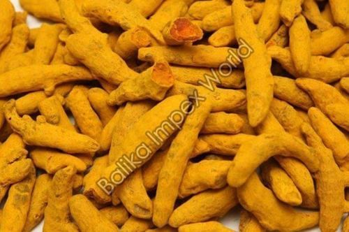 Yellow Organic Raw Turmeric Finger