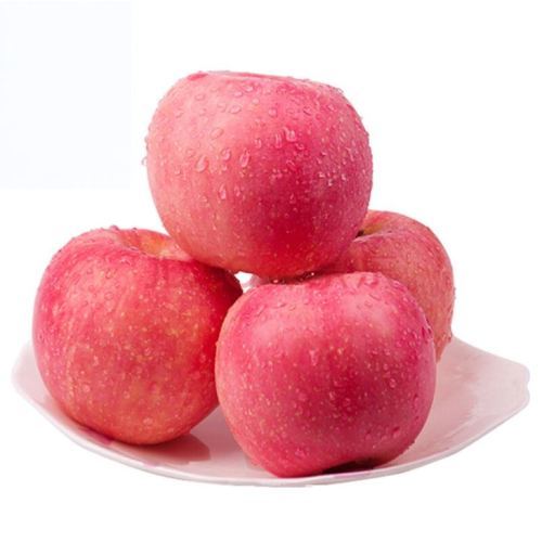 Common Fresh Red Fuji Apples