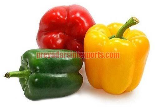 Oval A Grade Fresh Capsicum