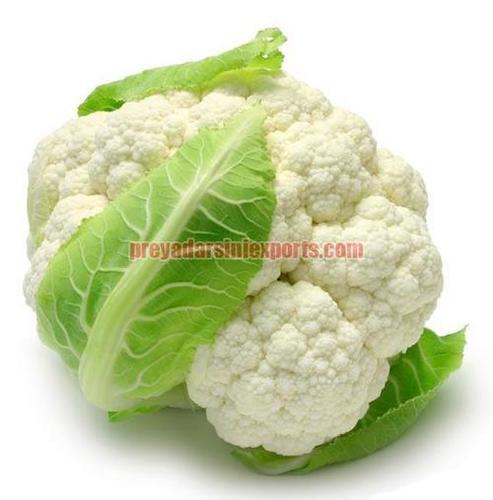 Oval A Grade Fresh Cauliflower