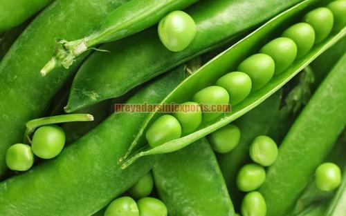 A Grade Fresh Green Peas Shelf Life: 1 Months