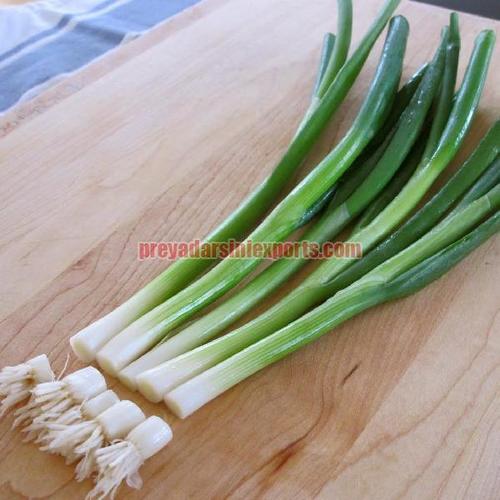 A Grade Fresh Scallion Onion