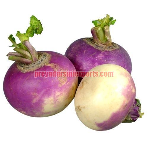 High in Protein Fresh Turnip