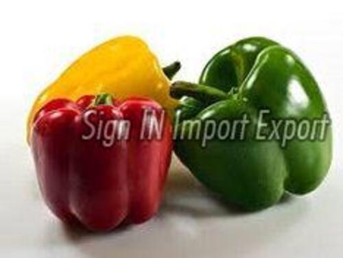 100% Natural Fresh Capsicum