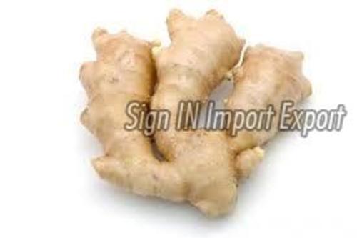 Preserved 100% Natural Fresh Ginger