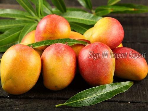 Delicious Taste Natural Fresh Mango