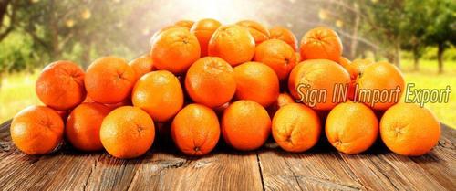 Delicious Taste Natural Fresh Orange