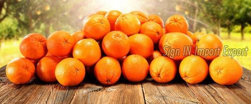 Common Delicious Taste Natural Fresh Orange