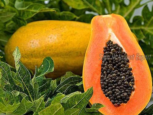 Delicious Taste Natural Fresh Papaya