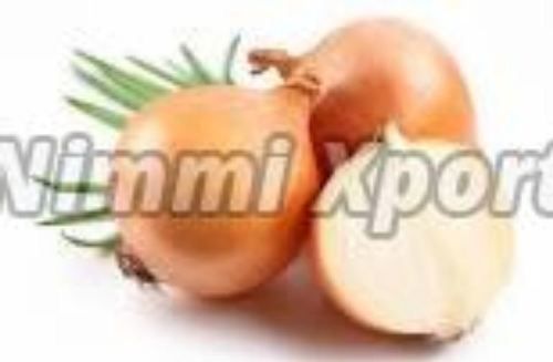 Oval Fresh Light Pink Onion