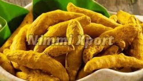 Yellow Fresh Raw Turmeric Fingers