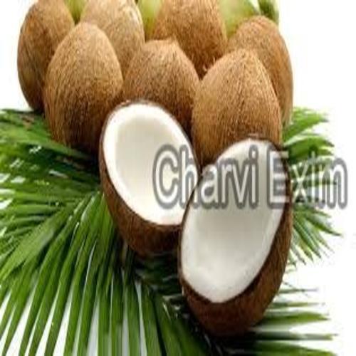 Brown Full Husked Fresh Coconut