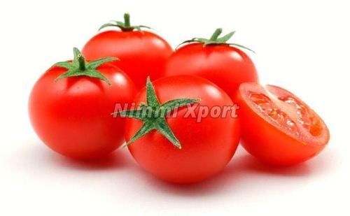 Round Organic Fresh Red Tomato