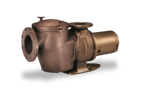 Bronze Pump Head Size: Standard