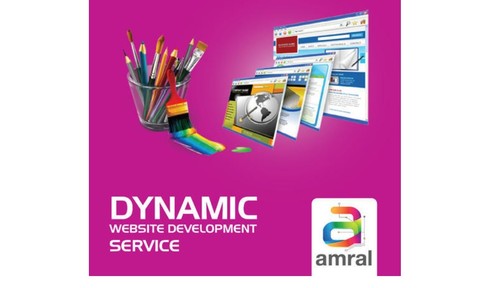 Dynamic Development Service - Customized Personal/Portfolio Online Installation Support