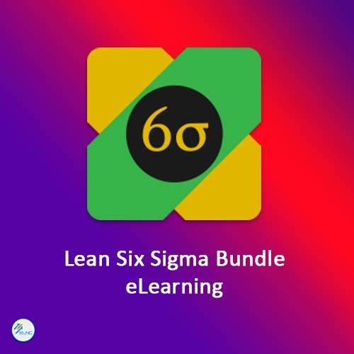 E Learning Service Provider For Six Sigma Bundle