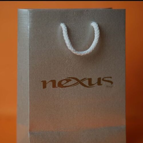 Multicolor Paper Carry Bags For Shopping