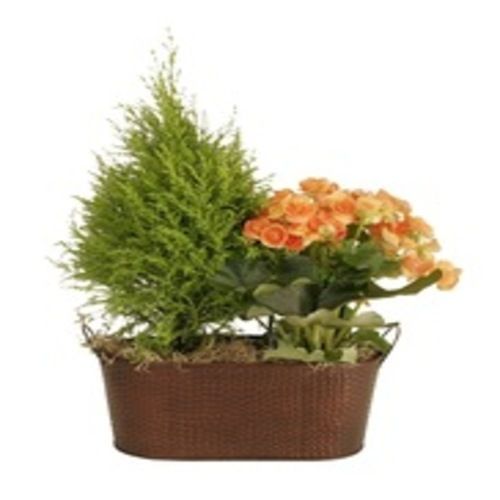 Customized Oval Shape Decorative Planter