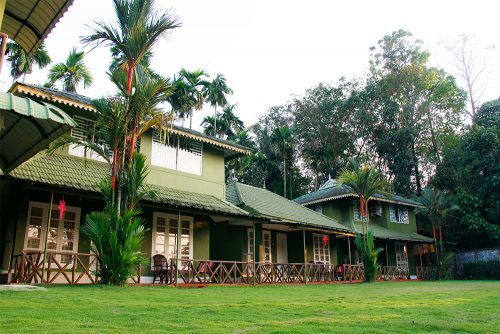 Ayurveda Resort Services Provider By Elephant Pass Ayurveda And Yoga Retreat