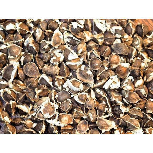 Coffee Brown Moringa Seeds Grade: Superior