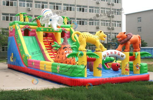 Any Flier Children Jumping Castle