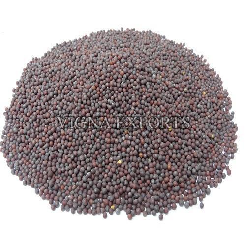 Natural Dried Mustard Seeds