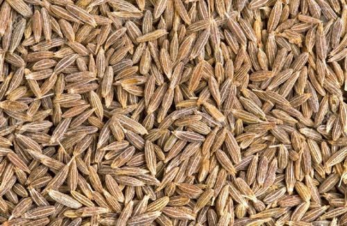 Brown Clean Dried Cumin Seeds