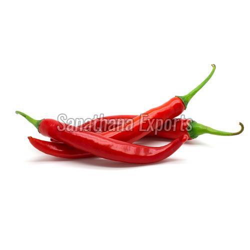 Hot Taste Fresh Red Chilli Shelf Life: 3 Months