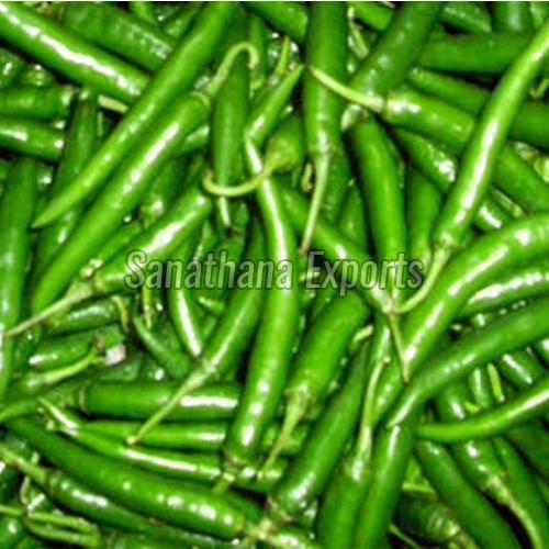 No Preservatives Fresh Green Chilli